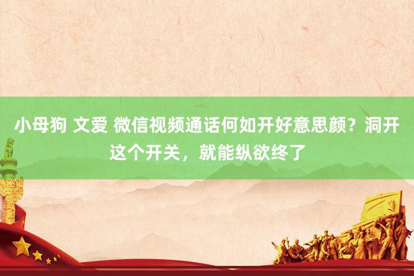 小母狗 文爱 微信视频通话何如开好意思颜？洞开这个开关，就能纵欲终了