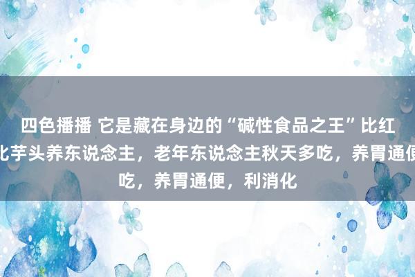 四色播播 它是藏在身边的“碱性食品之王”比红薯通便，比芋头养东说念主，老年东说念主秋天多吃，养胃通便，利消化