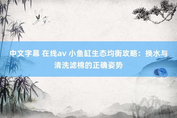 中文字幕 在线av 小鱼缸生态均衡攻略：换水与清洗滤棉的正确姿势